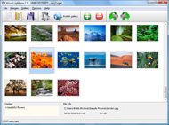 pop up window over flash javascript Picasa Web Album Patchwork