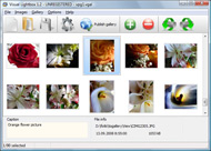 pop up window maximize javascript Lightbox Gallery Creator Examples
